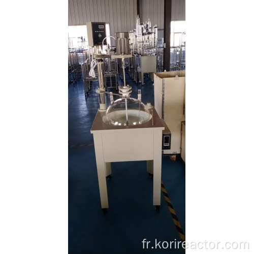 Réacteur en verre monocouche de vente directe d&#39;usine DF-10L